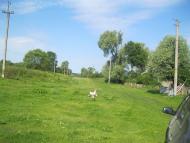 Demyanivka - Latest photos