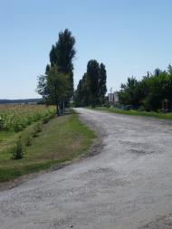 В'язова з panoramio.com