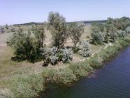 Макорти з panoramio.com