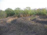 Карабинівські майдани