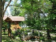 Лісові Сорочинці з panoramio.com