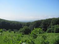 Горошівці з panoramio.com