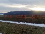 Тяпче з panoramio.com