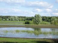 Дмитрівка з panoramio.com