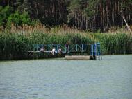 Лісові Сорочинці з panoramio.com