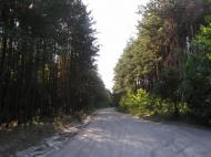 Нова Ушиця з panoramio.com