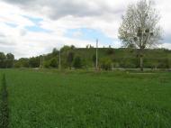 Старі Безрадичі з panoramio.com