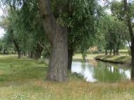 Гайове з panoramio.com