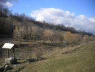 Яланець з panoramio.com