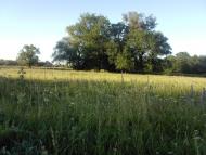 Житлівка з panoramio.com