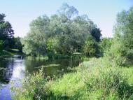 Залізний Міст з panoramio.com