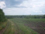 Юнаківка з panoramio.com