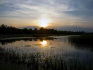 Новопілля з panoramio.com