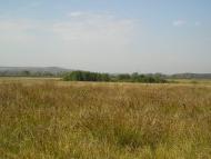 Новоселівка з panoramio.com