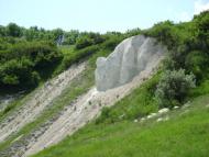 Лозне з panoramio.com