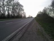 Звірів з panoramio.com