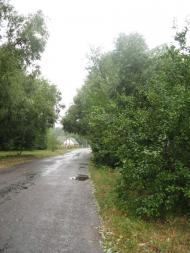 Матюші з panoramio.com