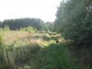 Дітинець з panoramio.com