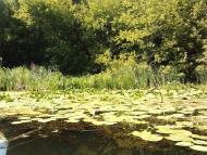 Межиріч з panoramio.com