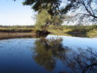 Вельбівка з panoramio.com