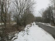 Мостове у лютому 2014