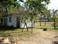 Шабельники з panoramio.com