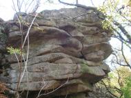 Завтурове з panoramio.com