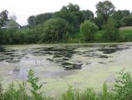 Дітинець з panoramio.com