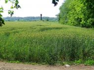 Зеленьків з panoramio.com