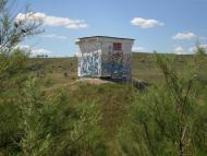 Скворцове з panoramio.com