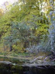 Піски-Удайські з panoramio.com