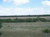 Новокам'янка з panoramio.com