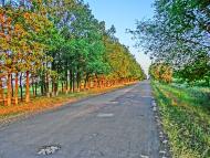 Лозуватка з panoramio.com