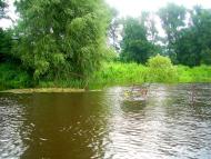 Несолонь з panoramio.com