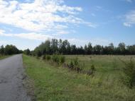 Стольне з panoramio.com