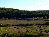 Кровинка з panoramio.com