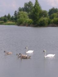 Бейзимівка з panoramio.com