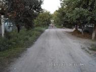 Кам'янка-Дніпровська з panoramio.com