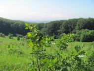 Горошівці з panoramio.com