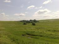 Чижівка з panoramio.com