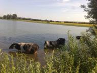 Теліжинці з panoramio.com