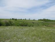 Макорти з panoramio.com