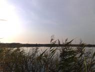 Придорожнє з panoramio.com