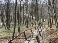 Лозино з panoramio.com