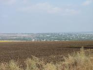 Успенівка з panoramio.com