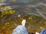 Тернівка з panoramio.com