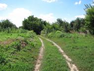 Головеньки з panoramio.com