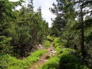 Кузьминець з panoramio.com