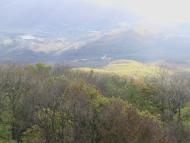 Земляничне з panoramio.com