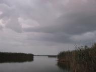 Леськи з panoramio.com